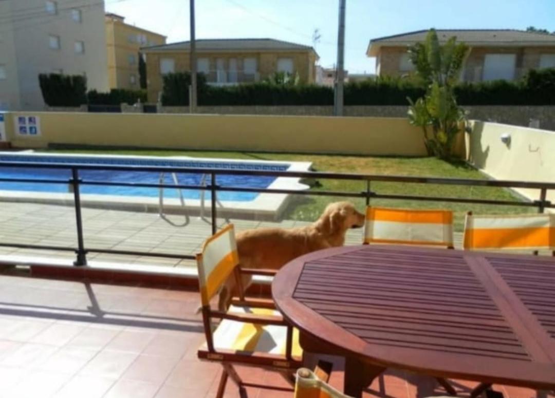 Miami Playa Apartamento Con Terraza Y Acceso Directo A La Piscina Y A 50 M De La Playa מראה חיצוני תמונה